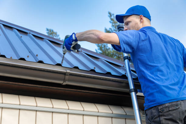 Best Roof Maintenance and Cleaning  in Lake Holiday, VA